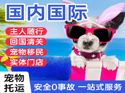 喀什空运公司国际宠物托运 【国